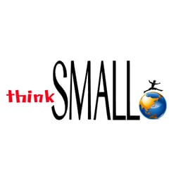 THINK SMALL